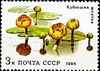 Почтовая марка СССР № 5503. 1984. Водные растения.jpg