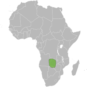 Barotseland.svg