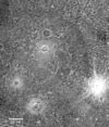 Crater Epigeus on Ganimede.jpg