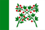 Flag of Vadinsk (Penza oblast).png