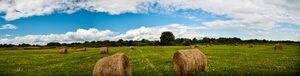 Jemseg Hay Bales.jpg