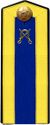 Red Army cadet cavalry school 1943 shoulder straps.jpg