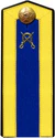 Red Army cadet cavalry school 1943 shoulder straps.jpg