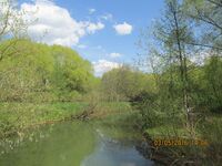 Долина реки Химки IMG 7487