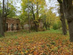 Памятник природы "Парк-усадьба д.Выбити".jpg
