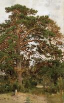 Пейзаж с сосной (Шишкин).jpg