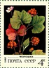 Почтовая марка СССР № 5273. 1982. Дикорастущие ягоды.jpg