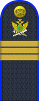 04.погон ФССП - сержант.png