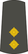 10-Serbian Army-LT.svg