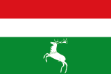 Флаг