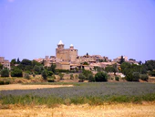 Мадреманья