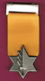 MedalofValor.jpg