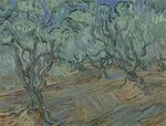 Olijfgaard - s0044V1962 - Van Gogh Museum.jpg