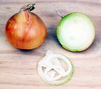 Onion.jpg