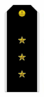 RAF N W2SenMichm 2010par.png