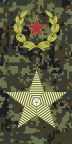 Russia-Army-OF-9.svg