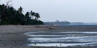 Saadani beach.jpg