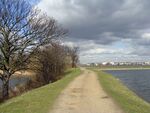 Walthamstow-Reservoir-756.JPG