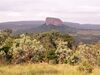 Waterberg landscape.jpg