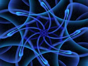 Electricsheep-932.jpg