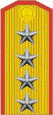 Погон генерала НОАК