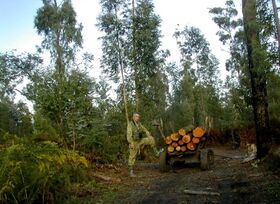 Kolkheti National park.jpg