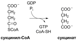 Krebs Cycle Reaction 7 ru.png