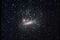 Large.mc.arp.750pix.jpg