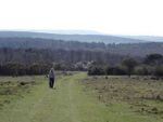 Lullington Heath - view to the south-west - geograph.org.uk - 39673.jpg