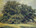 Mordvinovo oaks by Iwan Shihkin 1891.jpg