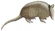 Nine-banded-Armadillo white background.jpg