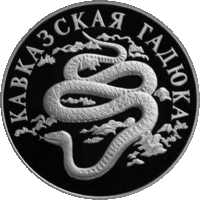 RR5109-0040R Кавказская гадюка.gif