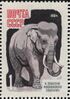 The Soviet Union 1964 CPA 3048 stamp (Centenary of Moscow Zoo. Asian elephant or Asiatic elephant (Elephas maximus)).jpg