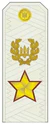UA OF10-GenArmy 2009.jpg