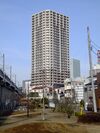 View Site Tower.jpg