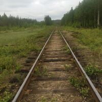 Пл. 170 км (Брусничная-Лендеры).jpg