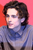 티모시 샬라메 (Timothee Chalamet) '더 킹 헨리 5세' 04.png
