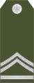 05-Montenegro Army-SFC.svg