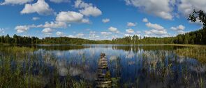 Aalupi järv 2013 08.jpg