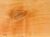 Alnus glutinosa wood tangent section 1 beentree.jpg