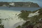 Channel Islands 11.jpg