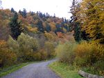 Jaśliski Park Krajobrazowy.jpg