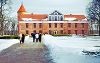 Raudondvaris palace.jpg