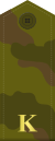 Russia-Army-OF-(D)-camo.svg