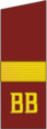 погоны 1973