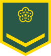 Taiwan-army-OR-1.svg