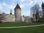 Tallinn Town Wall Mai 2008 2.jpg
