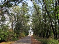 Vakulenchuka Street, Melitopol, Zaporizhia Oblast, Ukraine 27.JPG