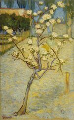 Vincent van Gogh - Bloeiend perenboompje - Google Art Project.jpg