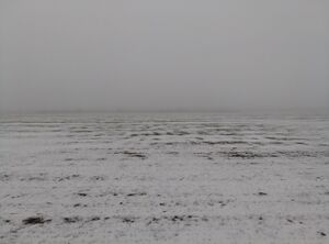 Х. Арбузов, вид зимой на сельскохозяйственное поле .jpg